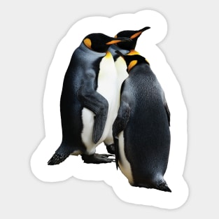 penguin Sticker